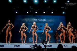 FIT-ANGELS РАУНД 1